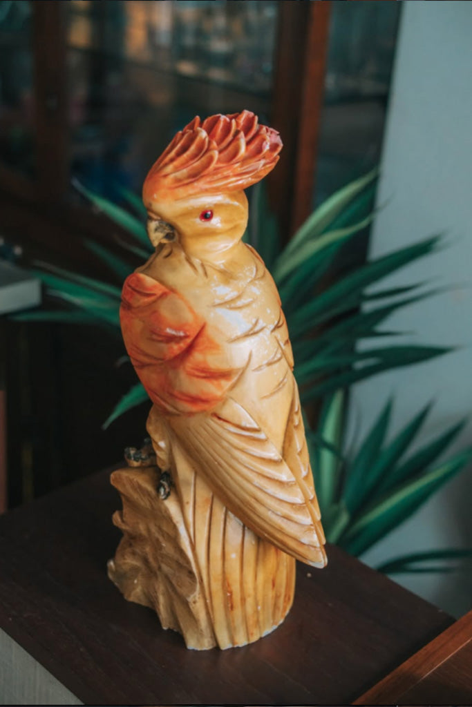 メキシコ製石のオウム