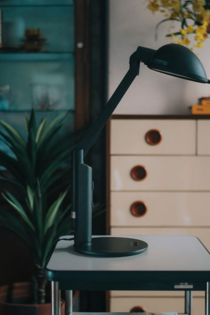 バイオライト エクセル